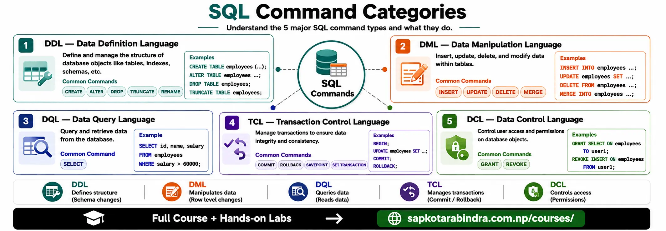 SQL Command Categories