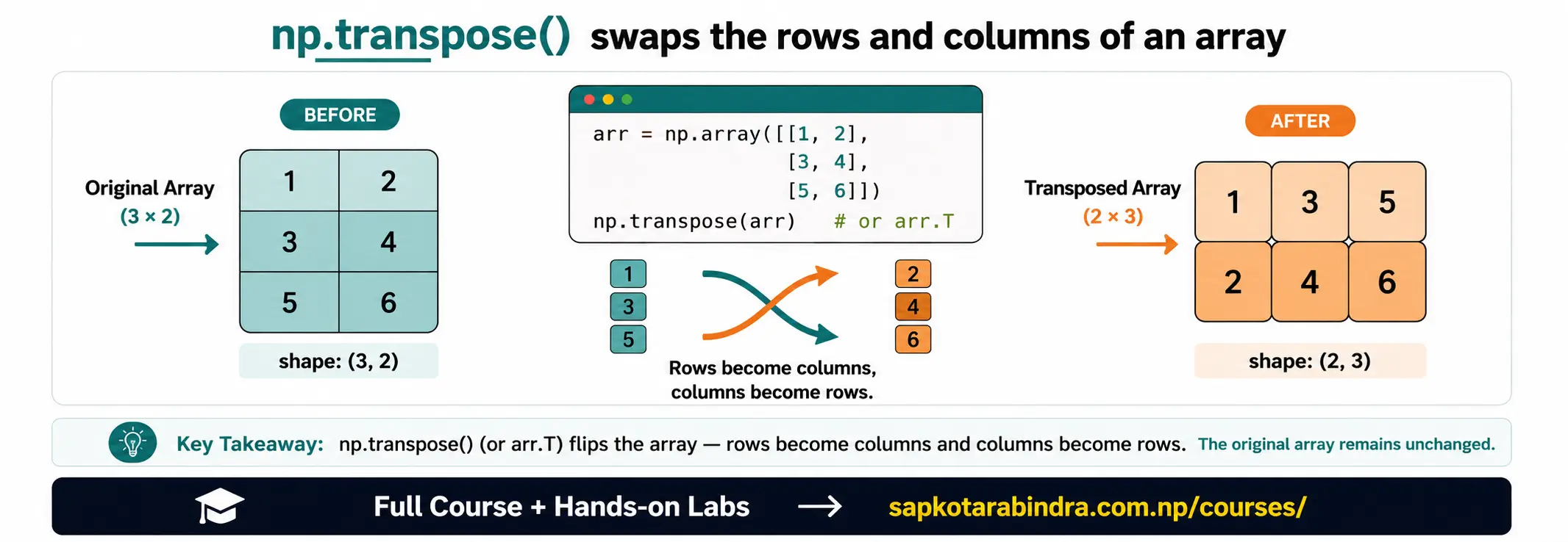 NumPy transpose() illustration