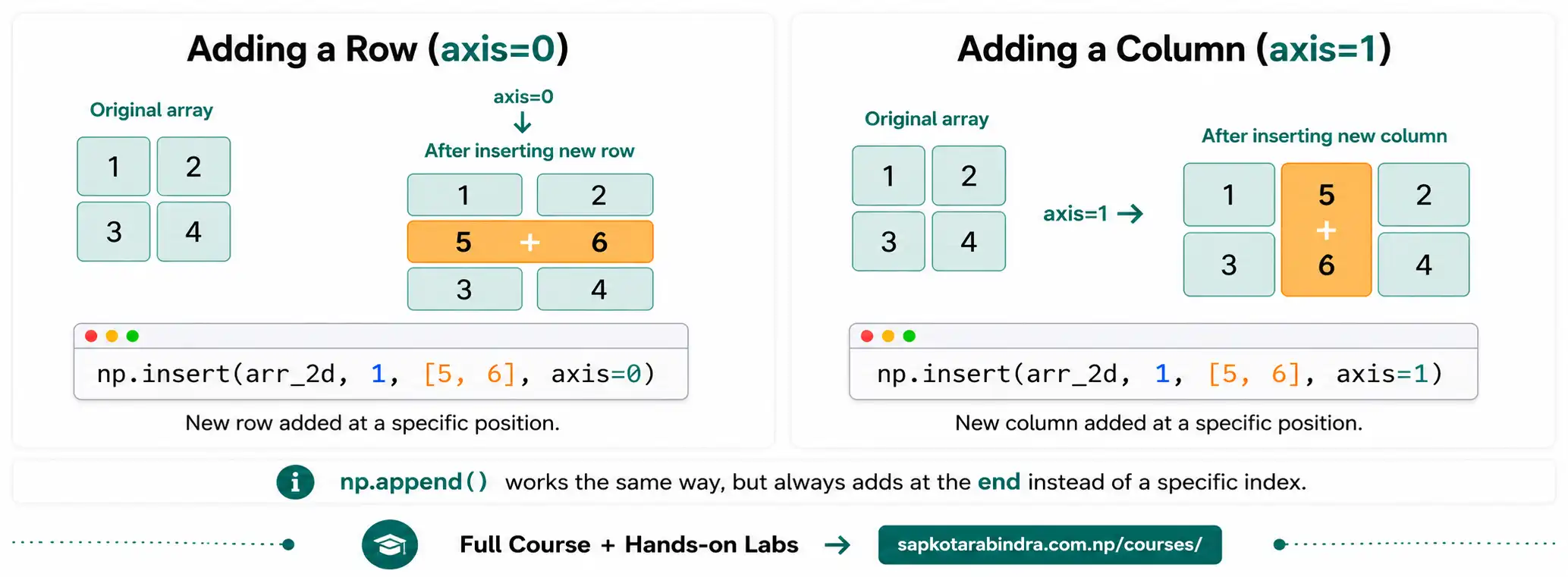 NumPy Insert Example