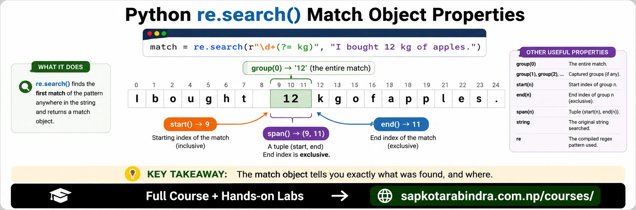 Python Regex Search Function