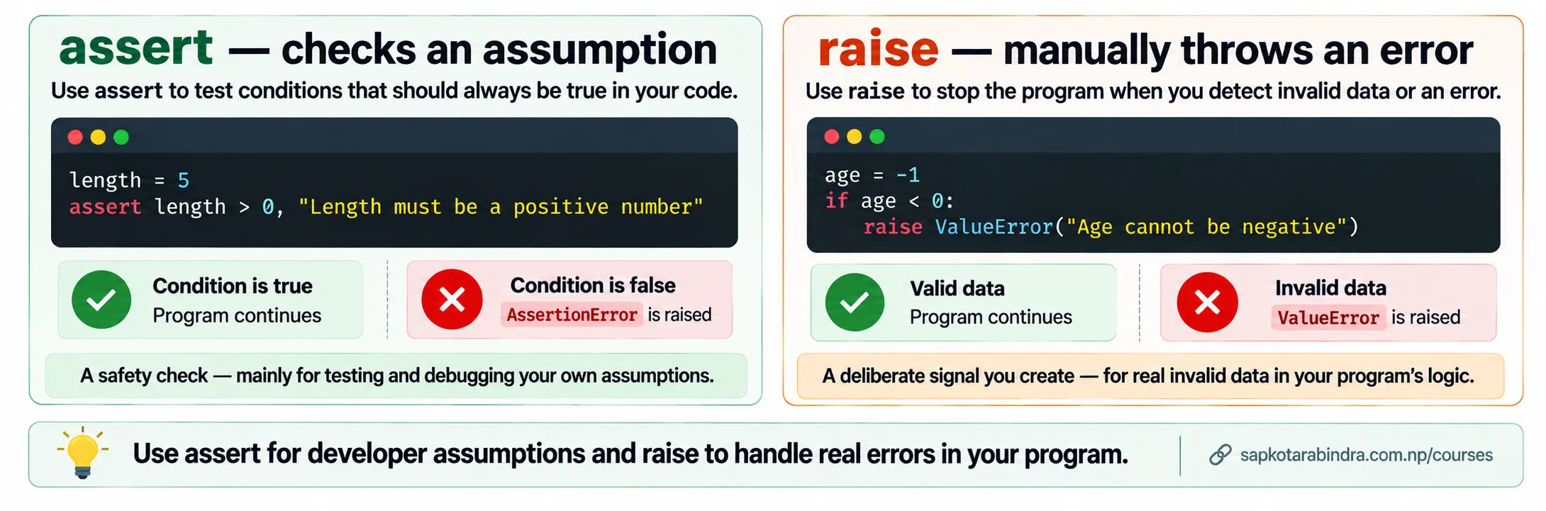 raise vs assert