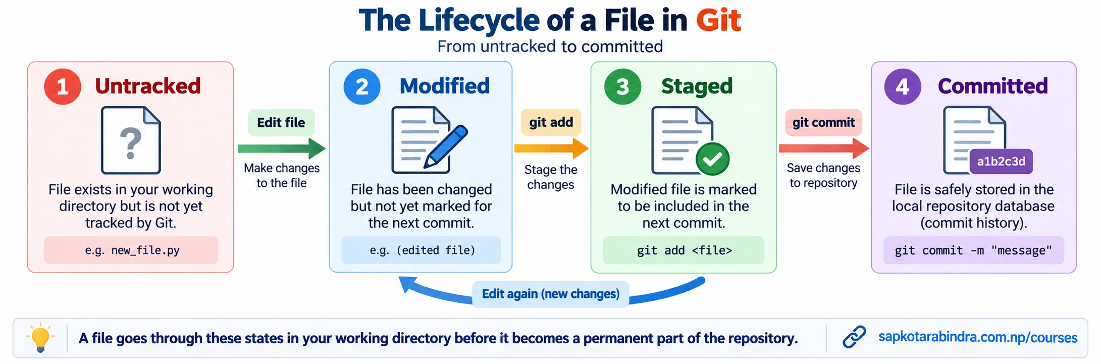 Lifecycle of a File in Git