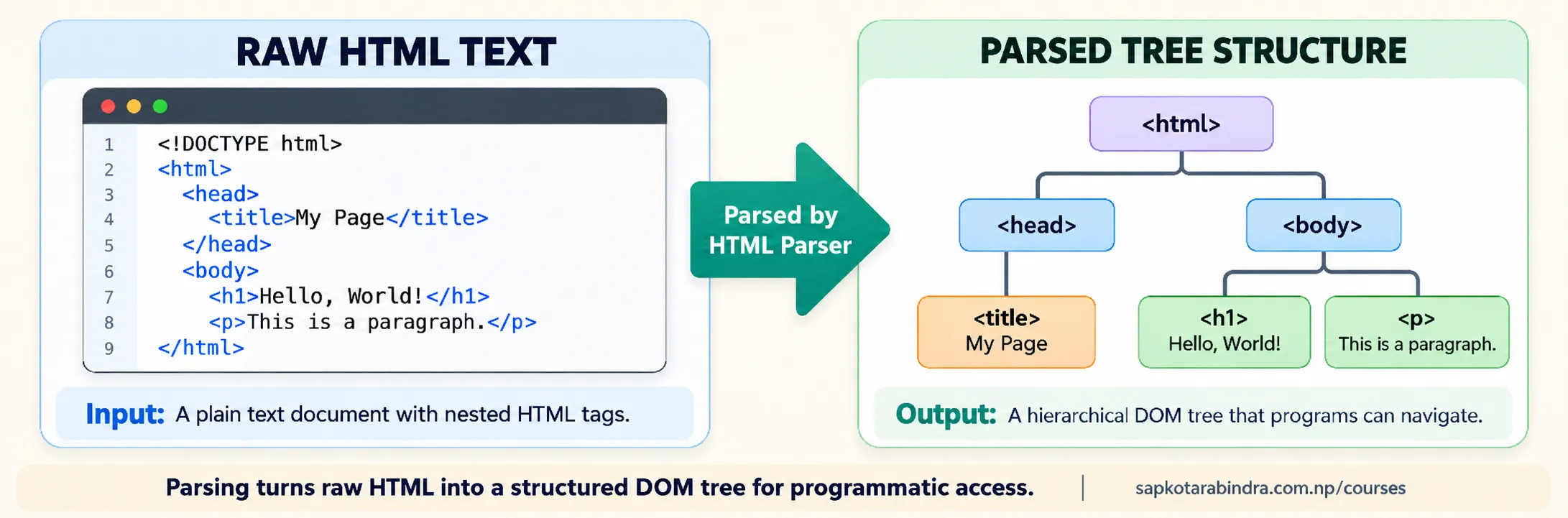 Parsed HTML Structure