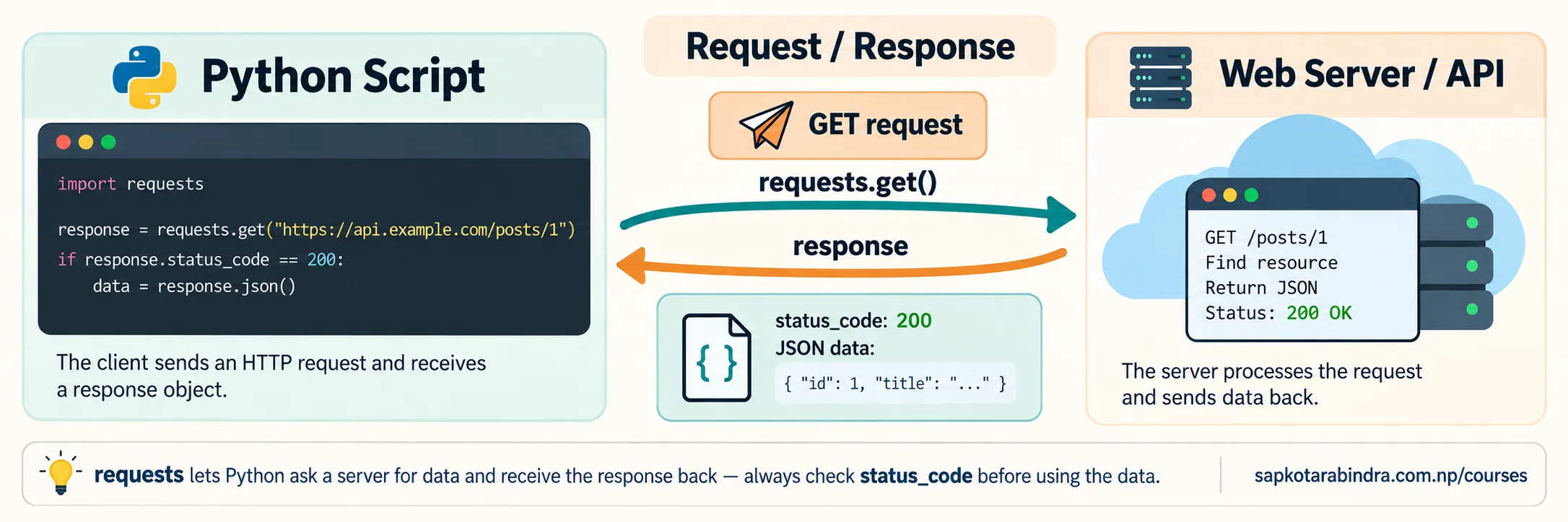 requests Library Functions