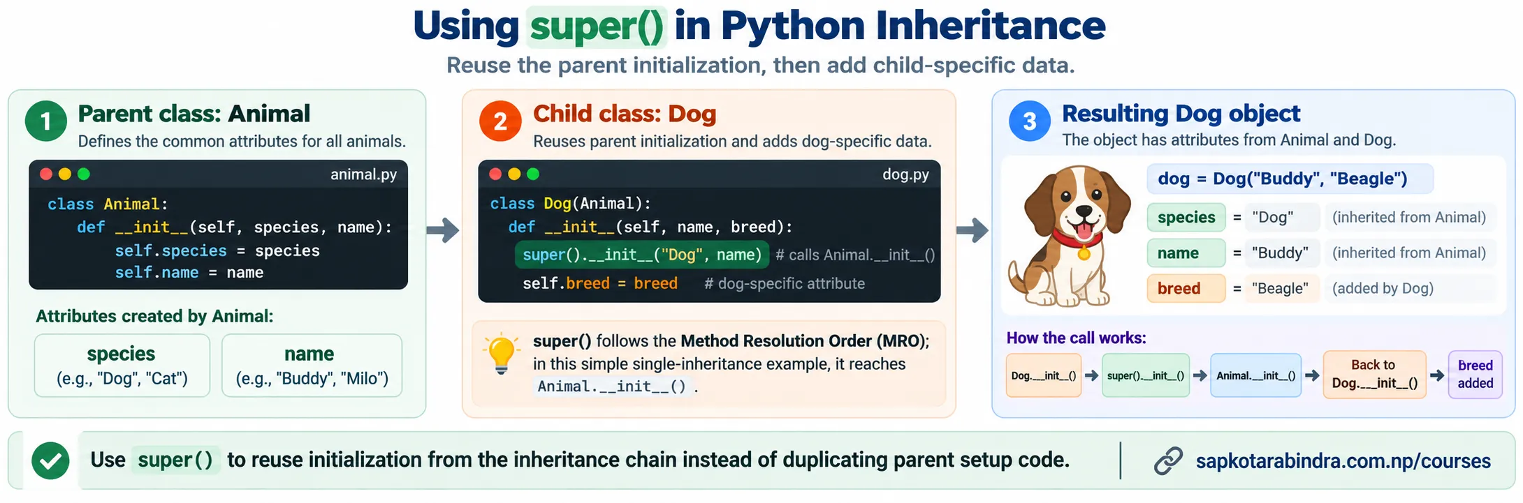 Inheritance in OOP
