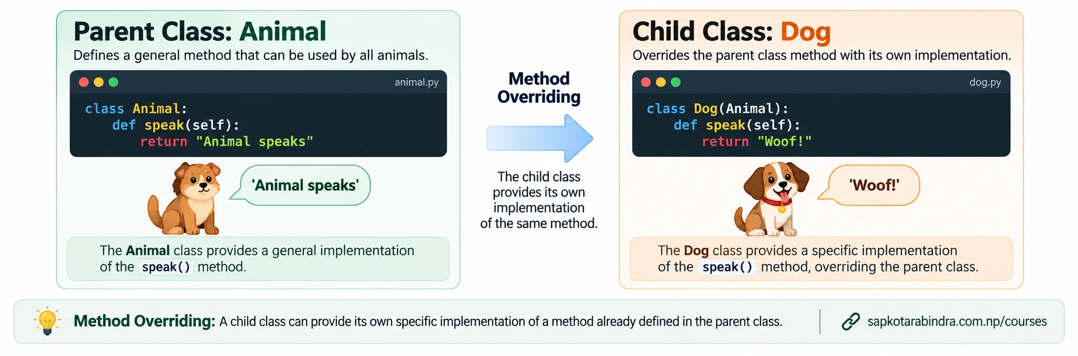 Method Overriding in OOP